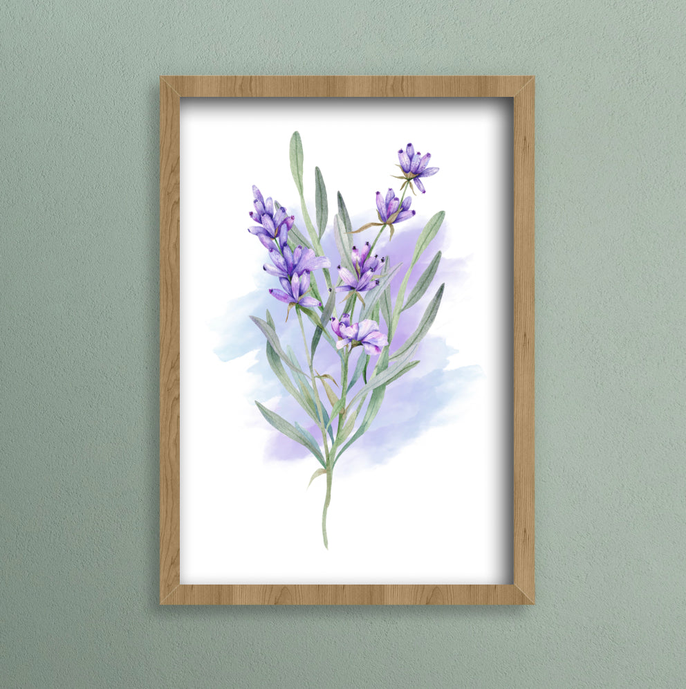 A4 watercolour print of purple lavender