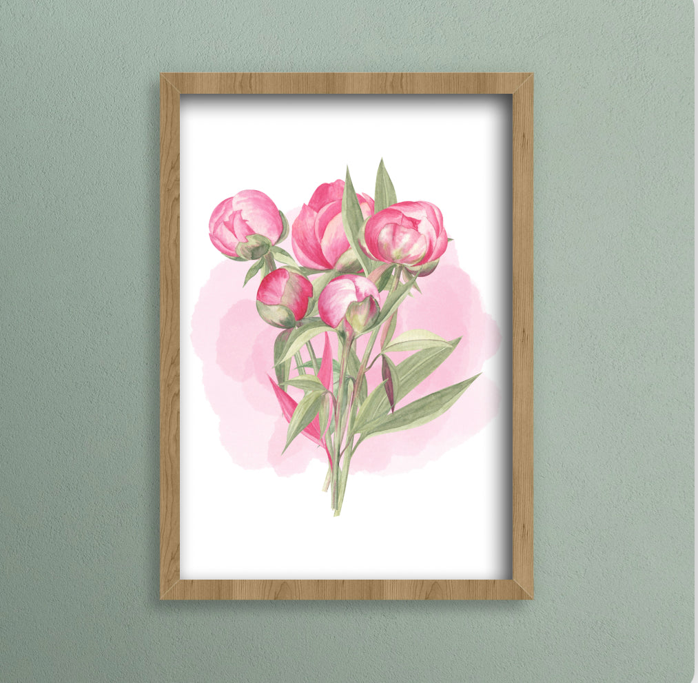 A4 print of pink peony flowers