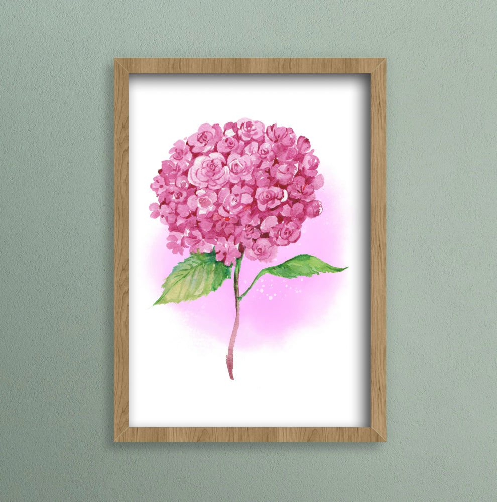 A4 print of a pink hydrangea flower