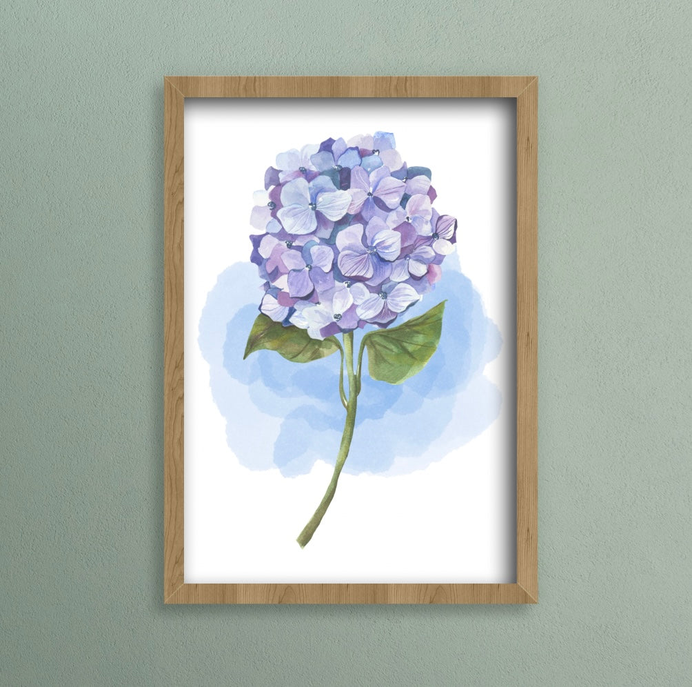 Blue Hydrangea